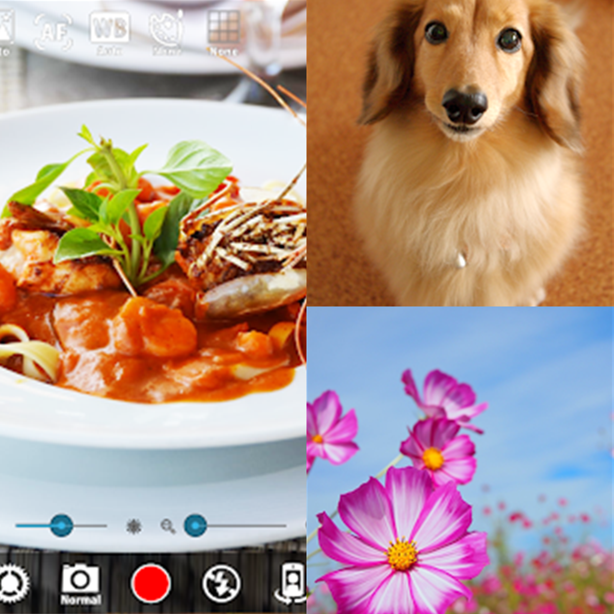 [安卓] 静音相机v8.6.2高级破解版版
